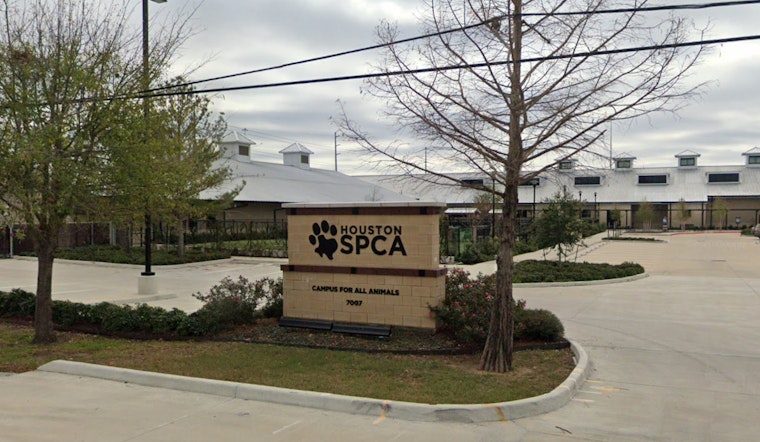 Spook-tacular Success, Houston SPCA's Howl-O-Ween Ball Raises Record $1.3 Million for Animal Welfare