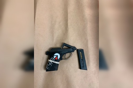 Springfield Authorities Dismantle Drug Ring, Seize Firearms and Narcotics, 13 Arrested