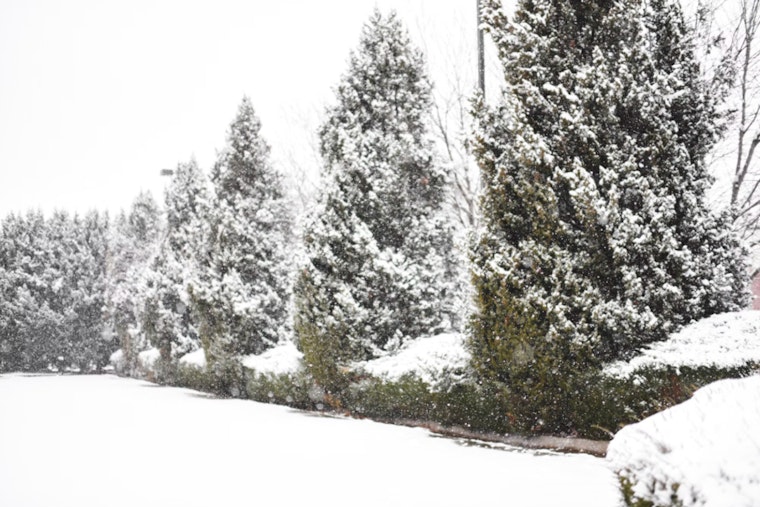 St. Louis Braces for 2-5 Inches of Snow and Slippery Roads Expected Across Missouri and Illinois