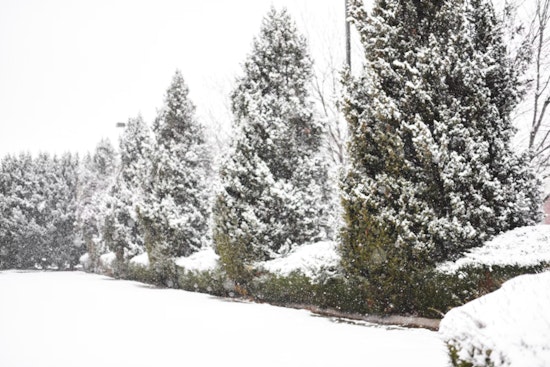 St. Louis Braces for 2-5 Inches of Snow and Slippery Roads Expected Across Missouri and Illinois