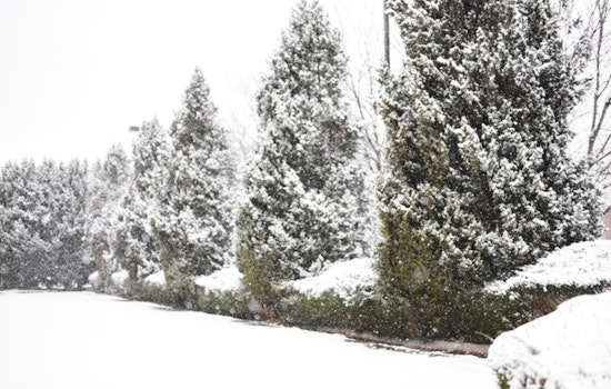 St. Louis Braces for 2-5 Inches of Snow and Slippery Roads Expected Across Missouri and Illinois