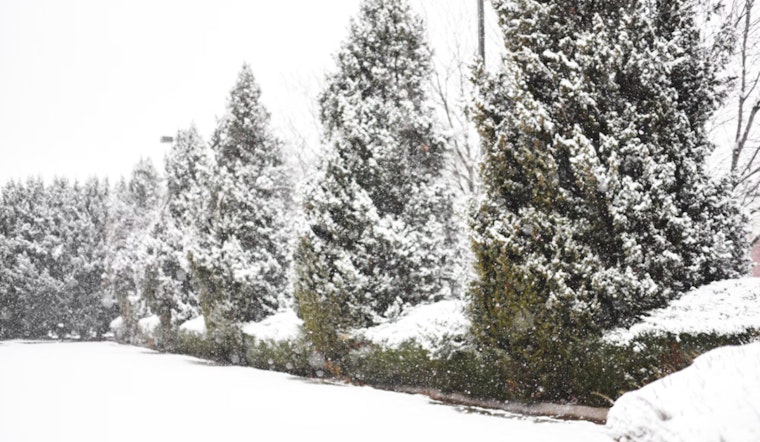 St. Louis Braces for 2-5 Inches of Snow and Slippery Roads Expected Across Missouri and Illinois