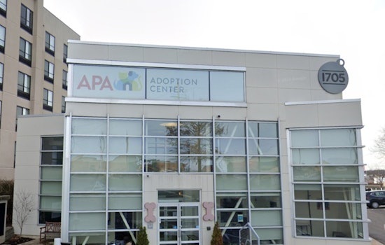 St. Louis County's Suspension of Volunteer Program at Animal Shelter Raises Concerns Among Advocates