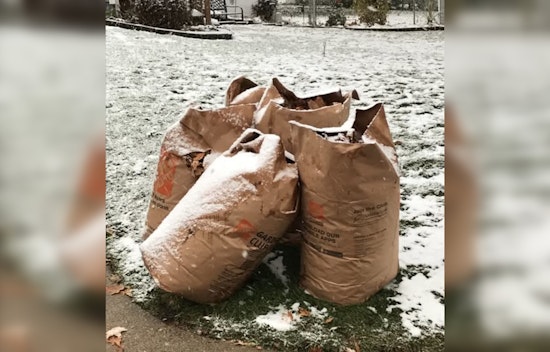 St. Louis Park Nearing End of Yard Waste Collection, Guidelines Emphasized Before Winter Arrival
