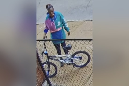 St. Louis Police Seek Assistance to Identify Suspect in Felony Package Theft on Farrar Street
