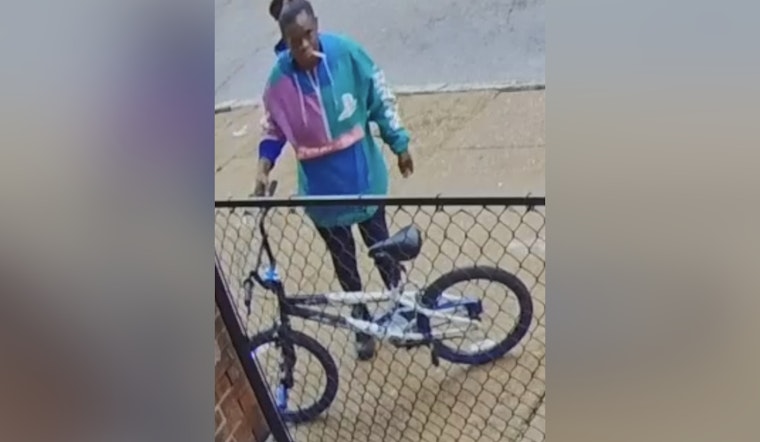 St. Louis Police Seek Assistance to Identify Suspect in Felony Package Theft on Farrar Street
