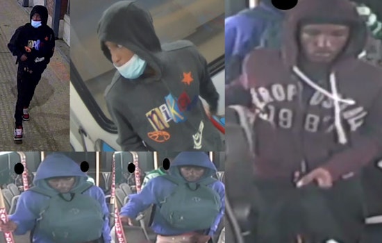 St. Louis Police Seek Public's Help to Identify Suspects in Downtown Car Break-Ins