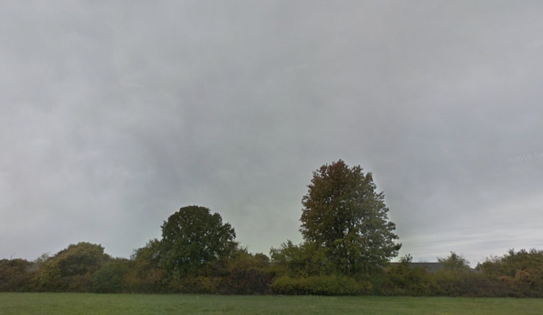 Steady Grays and Gentle Breezes as Detroit's Weather Remains Consistent Ahead of Winter