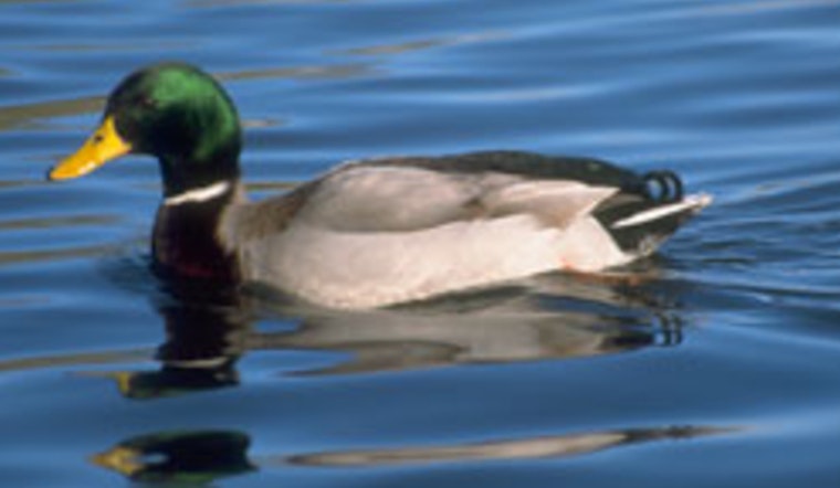 Stricter Wildlife Handling and Food Safety Practices Emphasized Amid Nationwide Concerns