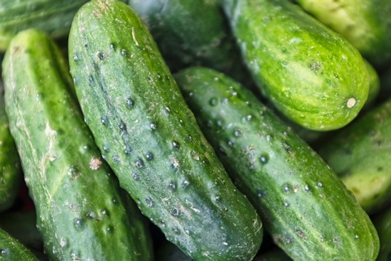 SunFed Cucumbers and Handsome Brook Farms Organic Eggs Potential Salmonella Risk in US and Canada
