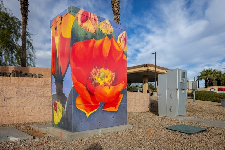 Surprise, Arizona Gets Artistic Makeover as Local Artists Transform Traffic Cabinets on Bell Road
