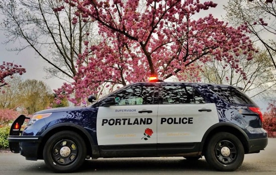 Suspect Charged with DUII After Striking Police Vehicle and Fleeing in Portland