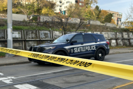 Suspect in Custody After String of Stabbings in Seattle's Chinatown-International District