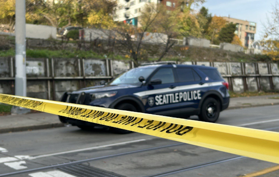 Suspect in Custody After String of Stabbings in Seattle's Chinatown-International District