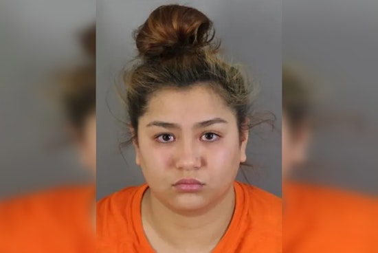 Sussex Teen Babysitter Pleads Guilty to Killing Family Dog, Sentenced to Nine Months Jail Time