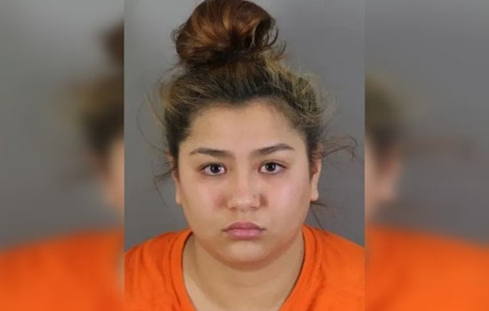 Sussex Teen Babysitter Pleads Guilty to Killing Family Dog, Sentenced to Nine Months Jail Time