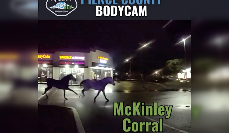 Tacoma Deputies Step up to Wrangle Loose Horses in McKinley Area, Ensuring Highway Safety