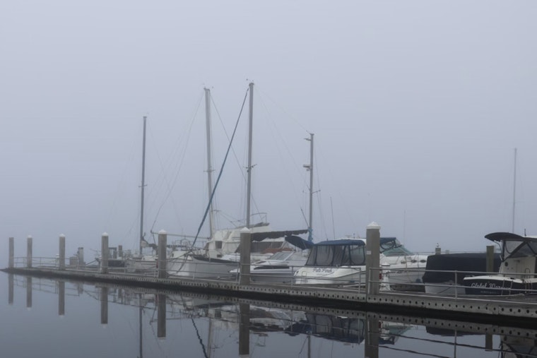 Tampa Bay Area Faces Dense Fog Advisory as Visibility Drops in Coastal Cities on Thanksgiving Morning