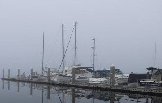Tampa Bay Area Faces Dense Fog Advisory as Visibility Drops in Coastal Cities on Thanksgiving Morning