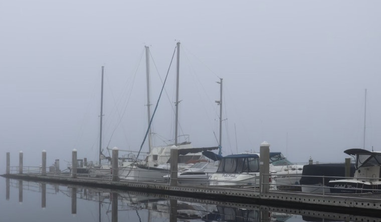 Tampa Bay Area Faces Dense Fog Advisory as Visibility Drops in Coastal Cities on Thanksgiving Morning