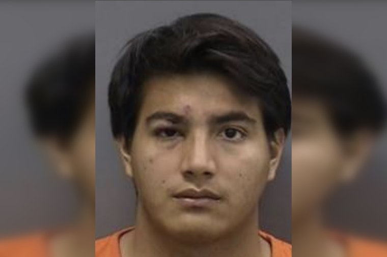Tampa Man Charged with First-Degree Murder After Fatal Stabbing at Carrollwood Apartments