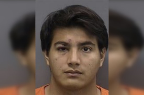 Tampa Man Charged with First-Degree Murder After Fatal Stabbing at Carrollwood Apartments