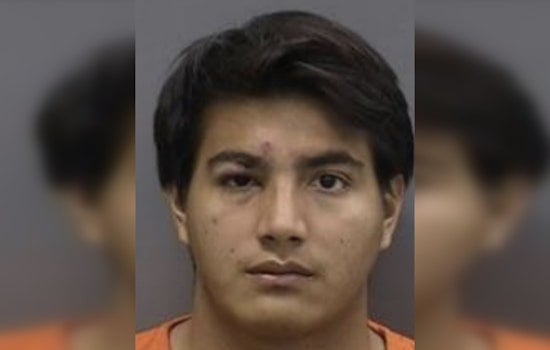 Tampa Man Charged with First-Degree Murder After Fatal Stabbing at Carrollwood Apartments