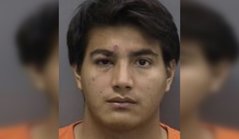 Tampa Man Charged with First-Degree Murder After Fatal Stabbing at Carrollwood Apartments
