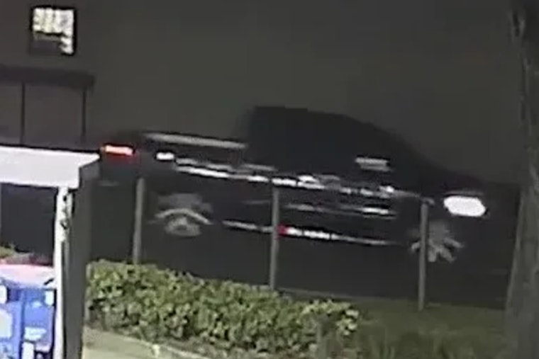 Tampa Police Investigate Fatal Hit-and-Run Involving Dark Pickup Truck, Public's Help Sought