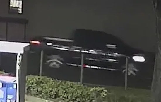 Tampa Police Investigate Fatal Hit-and-Run Involving Dark Pickup Truck, Public's Help Sought