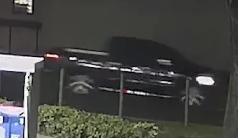 Tampa Police Investigate Fatal Hit-and-Run Involving Dark Pickup Truck, Public's Help Sought