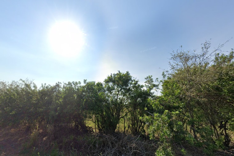 Tampa Residents to Bask in Sunshine and Mild Temps, with Midweek Showers on the Horizon