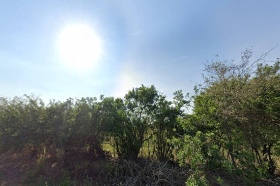Tampa Residents to Bask in Sunshine and Mild Temps, with Midweek Showers on the Horizon
