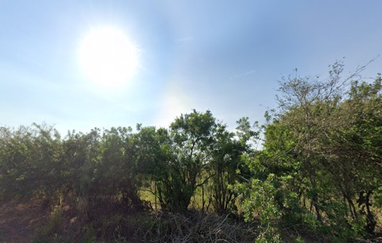 Tampa Residents to Bask in Sunshine and Mild Temps, with Midweek Showers on the Horizon