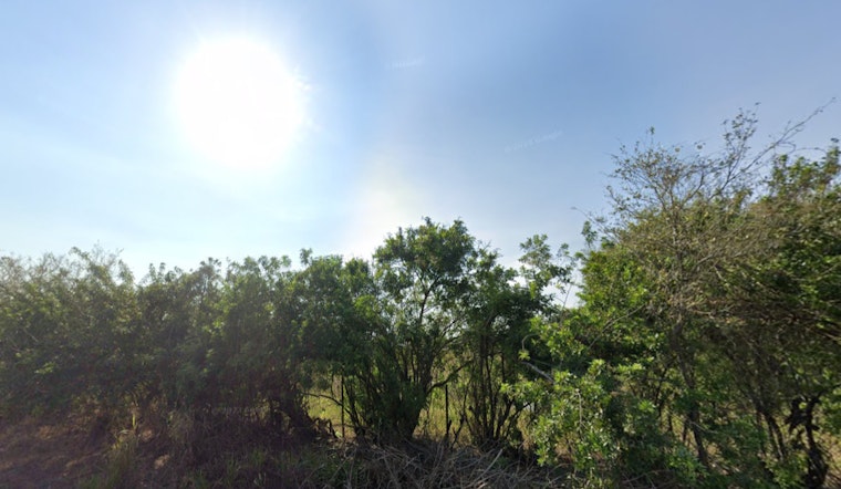Tampa Residents to Bask in Sunshine and Mild Temps, with Midweek Showers on the Horizon