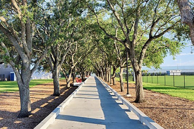 Tampa Seeks Local Environmental Advocates to Join New Urban Forestry Committee