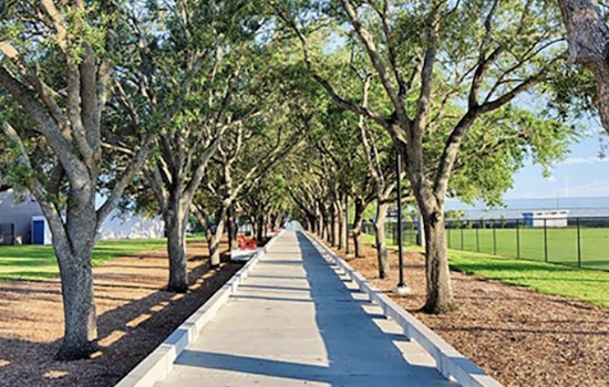 Tampa Seeks Local Environmental Advocates to Join New Urban Forestry Committee