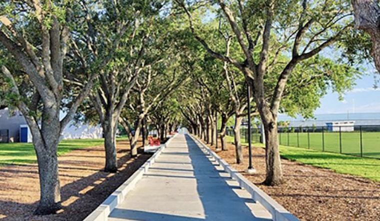 Tampa Seeks Local Environmental Advocates to Join New Urban Forestry Committee