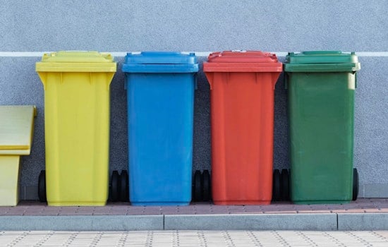 Tampa Solid Waste Services to Continue on Veterans Day with Yard Waste Pickup Postponed for Hurricane Debris