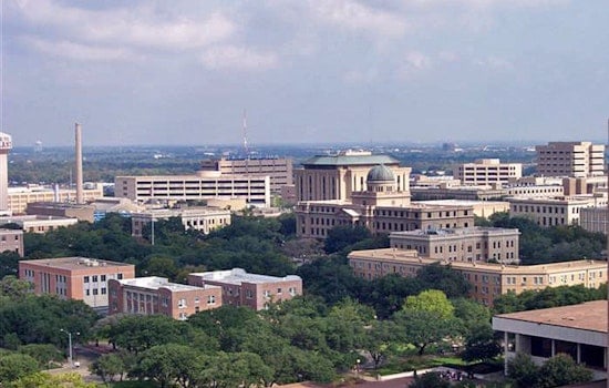 Texas A&M Regents Cut 52 Programs Including LGBTQ+ Studies Minor Amid Faculty Opposition