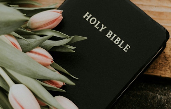 Texas State Board of Education Approves Bible-Based Curriculum for Elementary Schools Amid Controversy