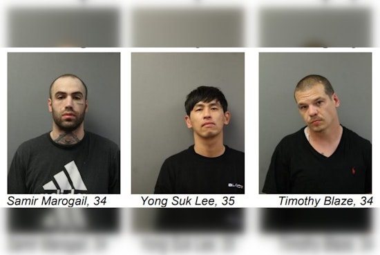 Three Suspects Charged in Series of Chicago-Area Burglaries and Thefts, Facing Multiple Felony Counts