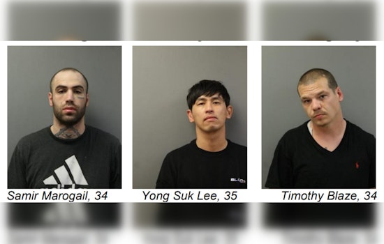 Three Suspects Charged in Series of Chicago-Area Burglaries and Thefts, Facing Multiple Felony Counts
