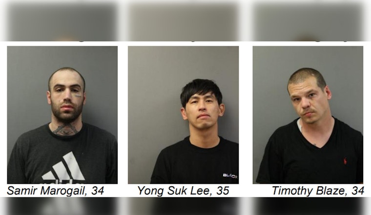 Three Suspects Charged in Series of Chicago-Area Burglaries and Thefts, Facing Multiple Felony Counts