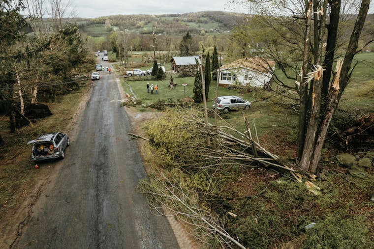 Tigard Clarifies Responsibilities for Fallen Tree Cleanup and Damages on Private and City Property