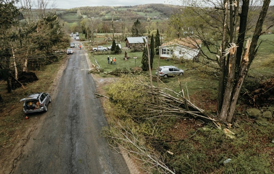 Tigard Clarifies Responsibilities for Fallen Tree Cleanup and Damages on Private and City Property