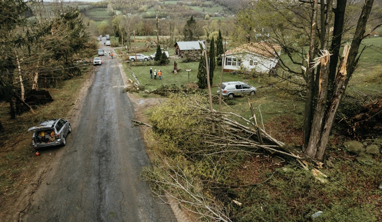 Tigard Clarifies Responsibilities for Fallen Tree Cleanup and Damages on Private and City Property
