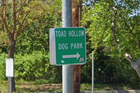 Toad Hollow Dog Park in Davis Closed Due to Flooding, Reassessment Set for Tomorrow