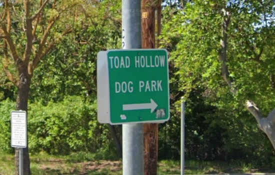 Toad Hollow Dog Park in Davis Closed Due to Flooding, Reassessment Set for Tomorrow