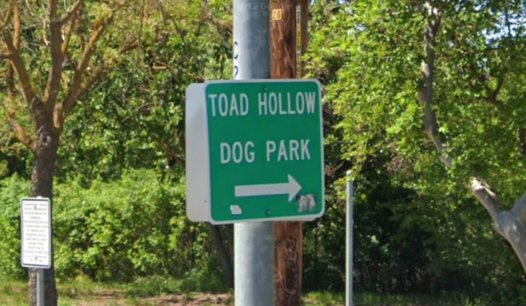 Toad Hollow Dog Park in Davis Closed Due to Flooding, Reassessment Set for Tomorrow
